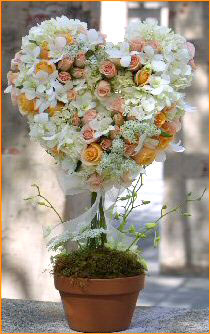 Receptions
